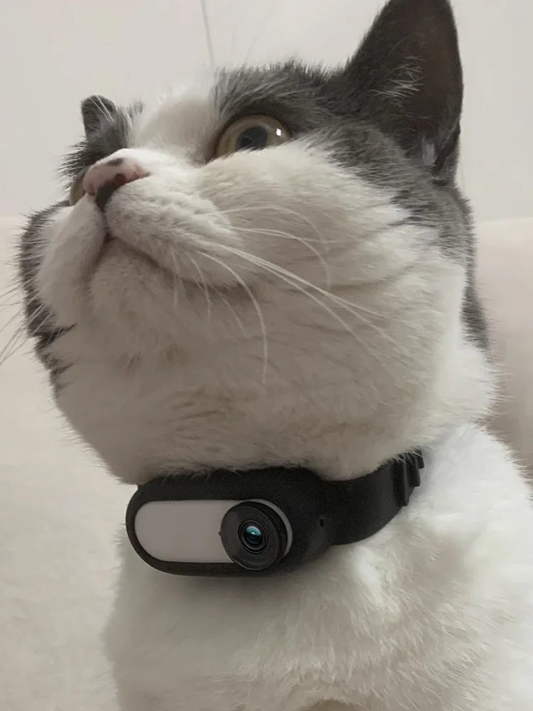 Pet Collar Camera for Cats & Dogs | Wireless HD Video Recording, USB Rechargeable, Adjustable Collar